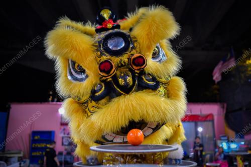 TECK SENG DRAGON & LION DANCE