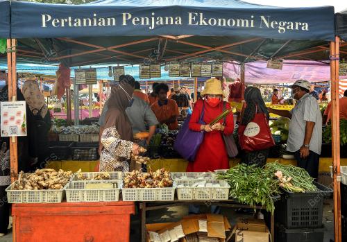 TINJAUAN PERSIAPAN HARI RAYA