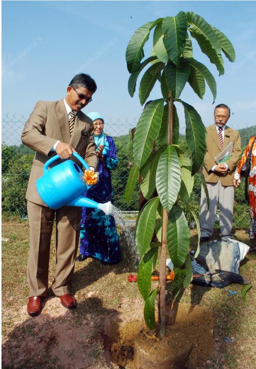 POKOK UNTUK KEHIDUPAN