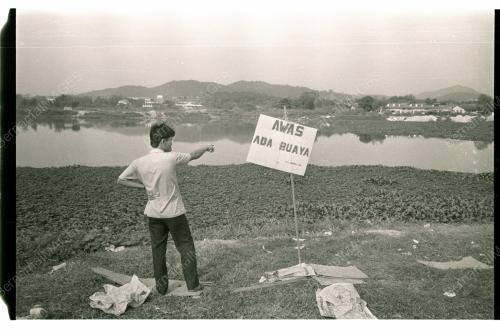 BUAYA