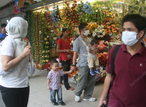 H1N1_TOPENG