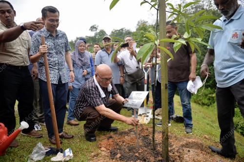 KL01_22062019_TANAM_BN201906202717