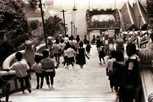 MONYET DI BATU CAVES