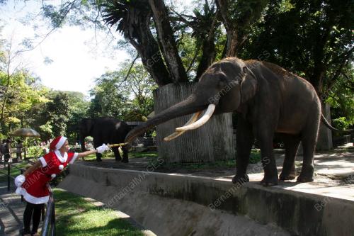SANTA _ZOO