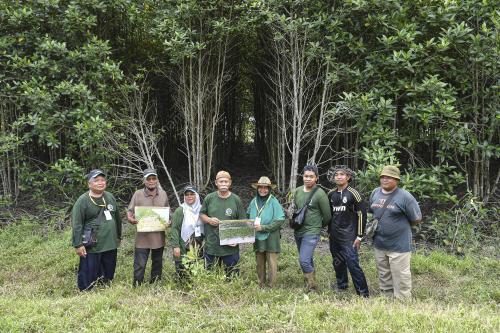 TANAMAN POKOK BAKAU KOMUNITI