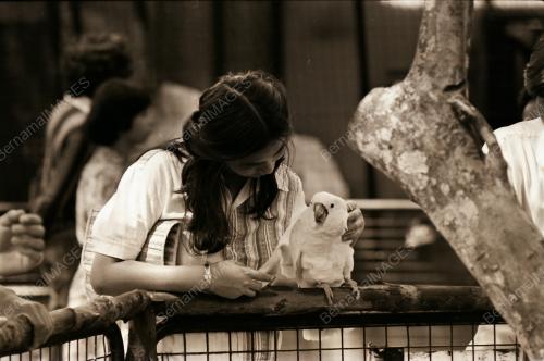 ZOO NEGARA