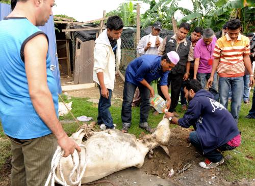 KL01_26092015_LEMBU_AIR