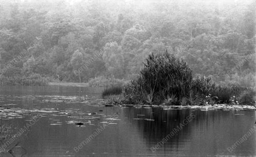 KL01_27012015_TASIK_CHINI