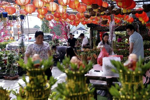 KL01_27012019_BUNGA_CNY