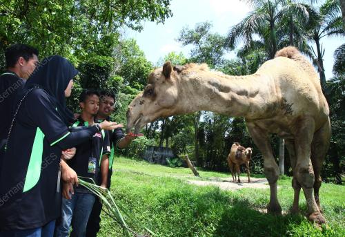 KL01_27022011_UNTA