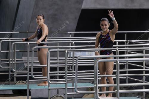 FINA DIVING GRAND PRIX 2022