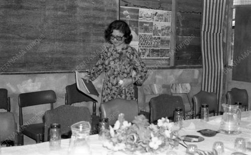 JUN 1980