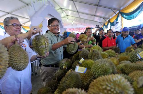 KL01_30072016_DURIAN