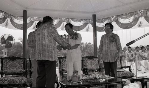 MUSA HITAM