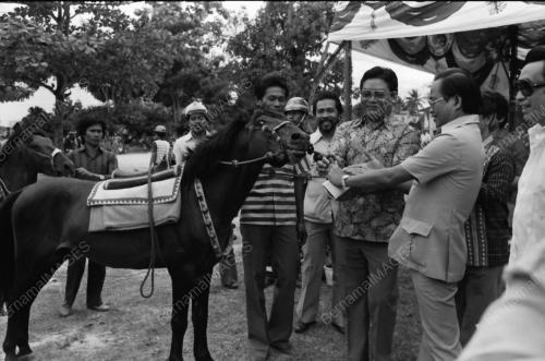 Pergerakan Kuda Bajau
