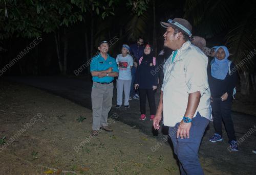FOREST SKYWALK NIGHT
