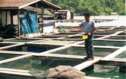 KL02-06_10_2000_IKAN_SANGKAR_14012016