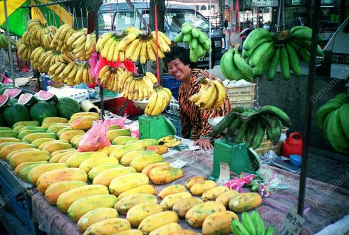 KL02-160200_LOCAL_FRUITS_07012016