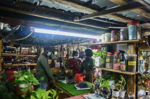 KEDAI BUNGA DAN NURSERI BEROPERASI