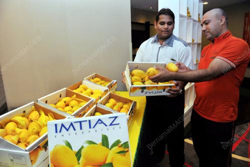 KL02_01082015_MANGOES