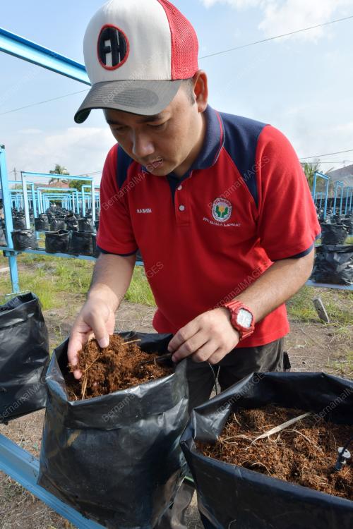 NORHASHIM KAMISAN