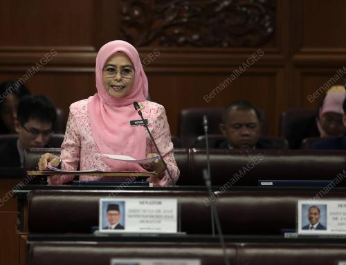 DATUK SERI DR NORAINI AHMAD