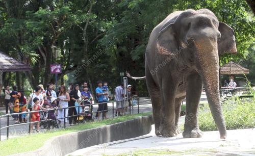 ZOO NEGARA