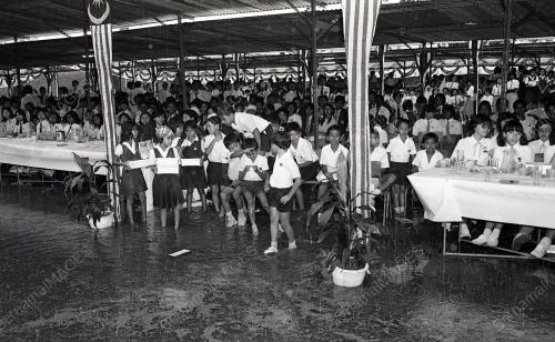 JAMUAN TEH