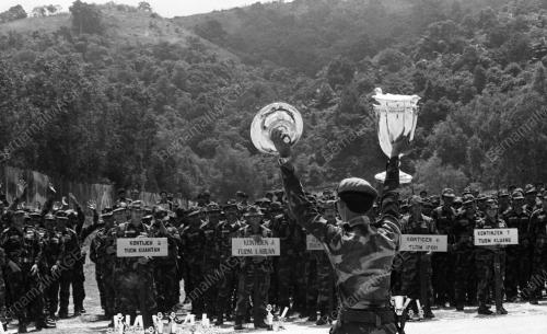 TENTERA UDARA DIRAJA MALAYSIA