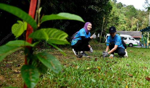 PROGRAM PENGHIJAUAN MALAYSIA AVISENA HEALTHCARE