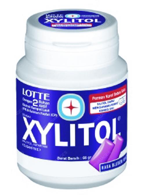 LOTTE XYLITOL CHEWING GUM