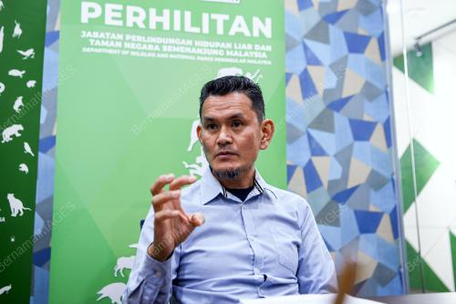 NOOR ALIF WIRA OSMAN