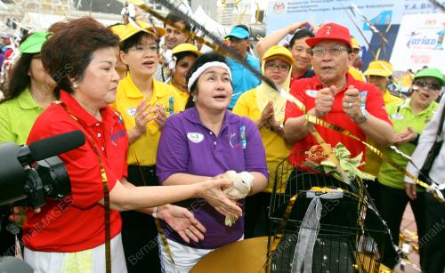 ROSMAH MANSOR