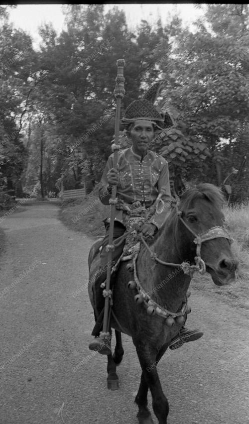 BAJAU HORSEMAN