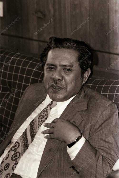 TENGKU AHMAD RITHAUDDEEN