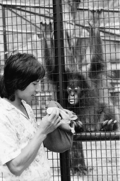 ZOO NEGARA