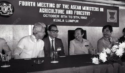 MUSA HITAM