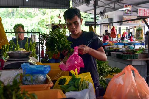 SAYUR