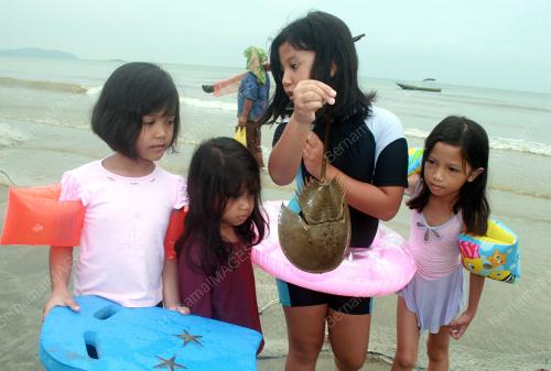 BERCUTI KE PANTAI BESRAH
