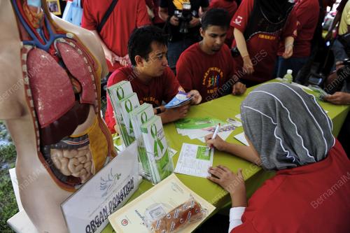 LARIAN ANESTESIA 2011