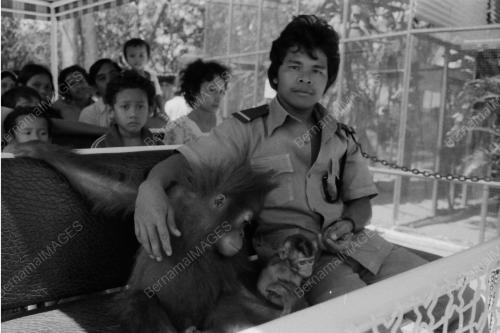 MONYET DI ZOO NEGARA