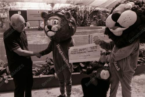 MASKOT HSBC