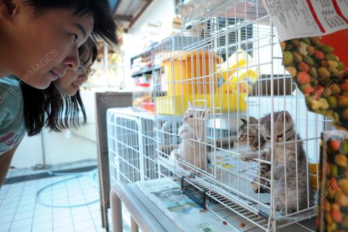 KL02_10062012_SPCA