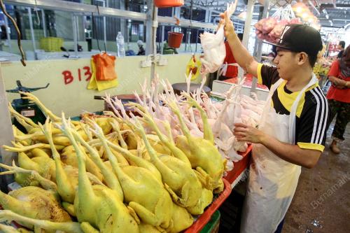 KL02_10072016_AYAM