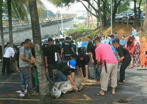 KORBAN DI SYABAS