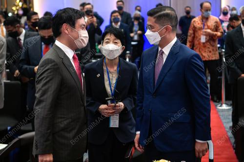 DATUK SERI MOHAMED AZMIN ALI