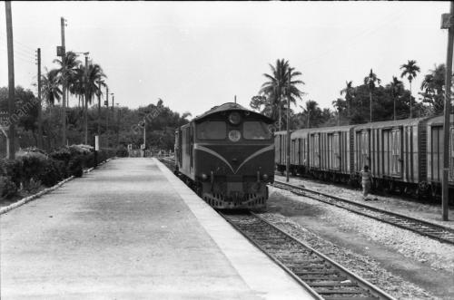 GULA, KERETAPI