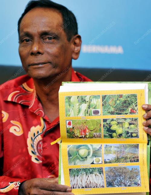 KL02_13082013_HERBA