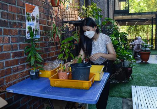 RESTORAN DIB TAWAR POKOK PERCUMA