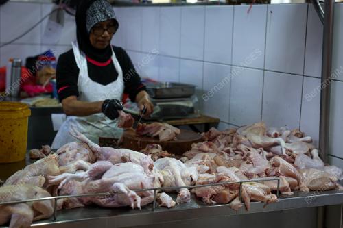 TINJAUAN SUBSIDI HARGA TELUR
